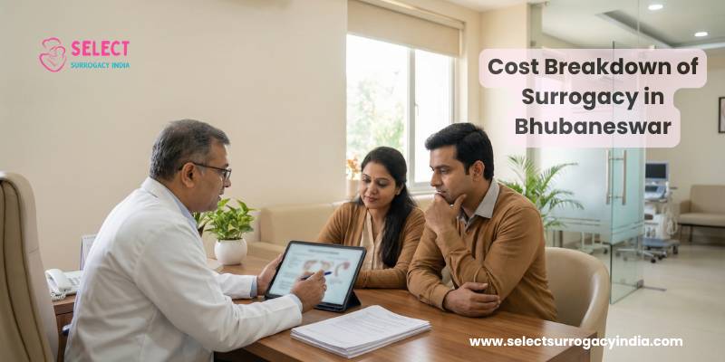 Doctor explaining surrogacy cost breakdown to couple at Select Surrogacy India clinic