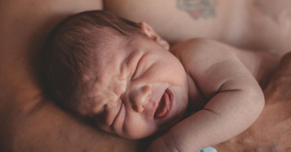 IVF Success Rate Calculator