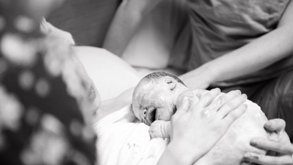 Egg Donor Cost in UAE
