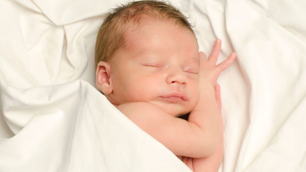 IVF Cost at Lapaz