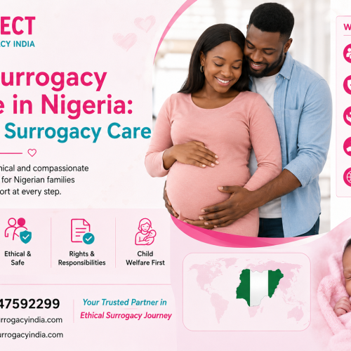 Best Surrogacy Centre in Nigeria: Trusted Surrogacy Care
