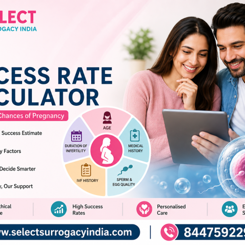 IVF Success Rate Calculator