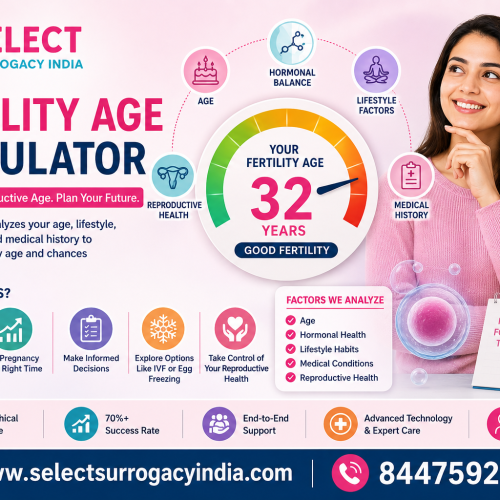 Fertility Age Calculator