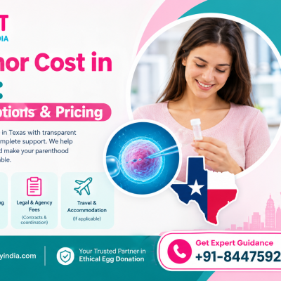 Egg Donor Cost in Texas Affordable Options & Pricing