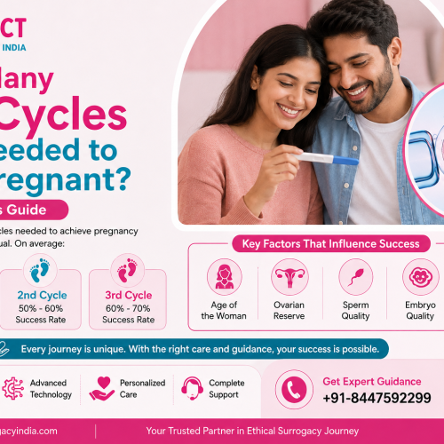 How Many IVF Cycles Are Needed to Get Pregnant IVF Success Guide