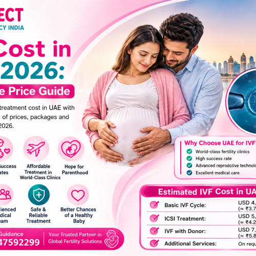 IVF Cost in UAE 2026 Complete Price Guide