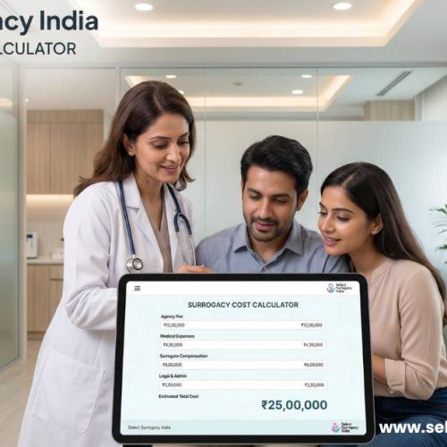 Surrogacy Cost Calculator