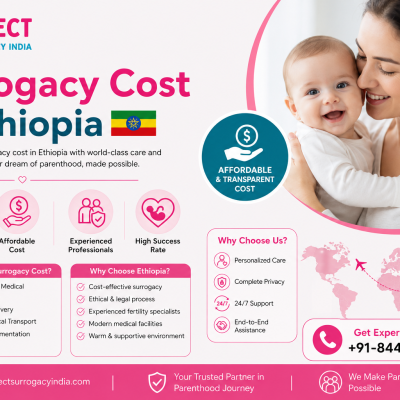 Surrogacy Cost in Ethiopia